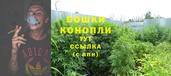 ПСИЛОЦИБИНОВЫЕ ГРИБЫ Горнозаводск