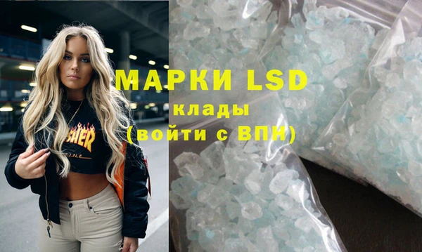 ПСИЛОЦИБИНОВЫЕ ГРИБЫ Горнозаводск